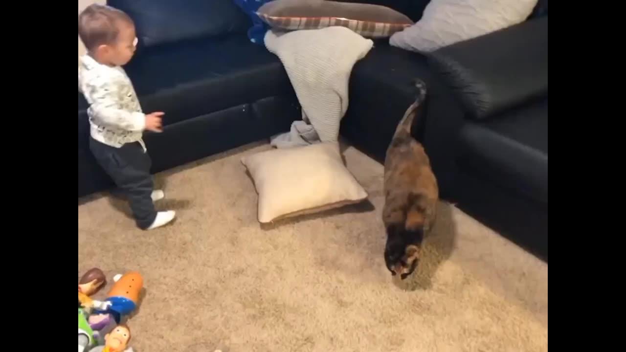 Baby doing fun with Cats