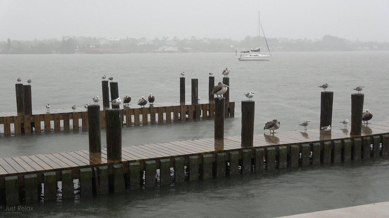 Rainy Day on the Florida Intercoastal Waterway One News Page VIDEO