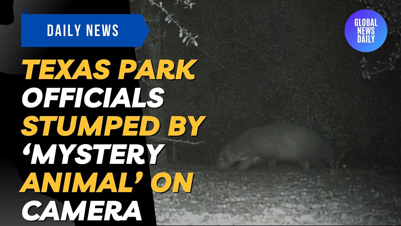 Texas Park Officials Stumped By ‘Mystery - One News Page VIDEO