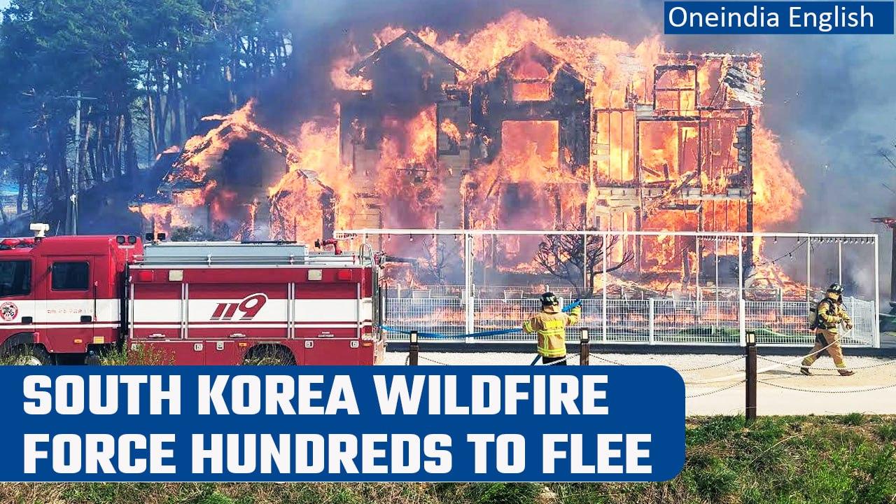 South Korea: Wildfire forces hundreds to flee from coastal area | Oneindia News
