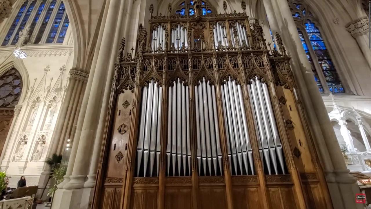 St Patrick's Cathedral NYC Organ Palm - One News Page VIDEO