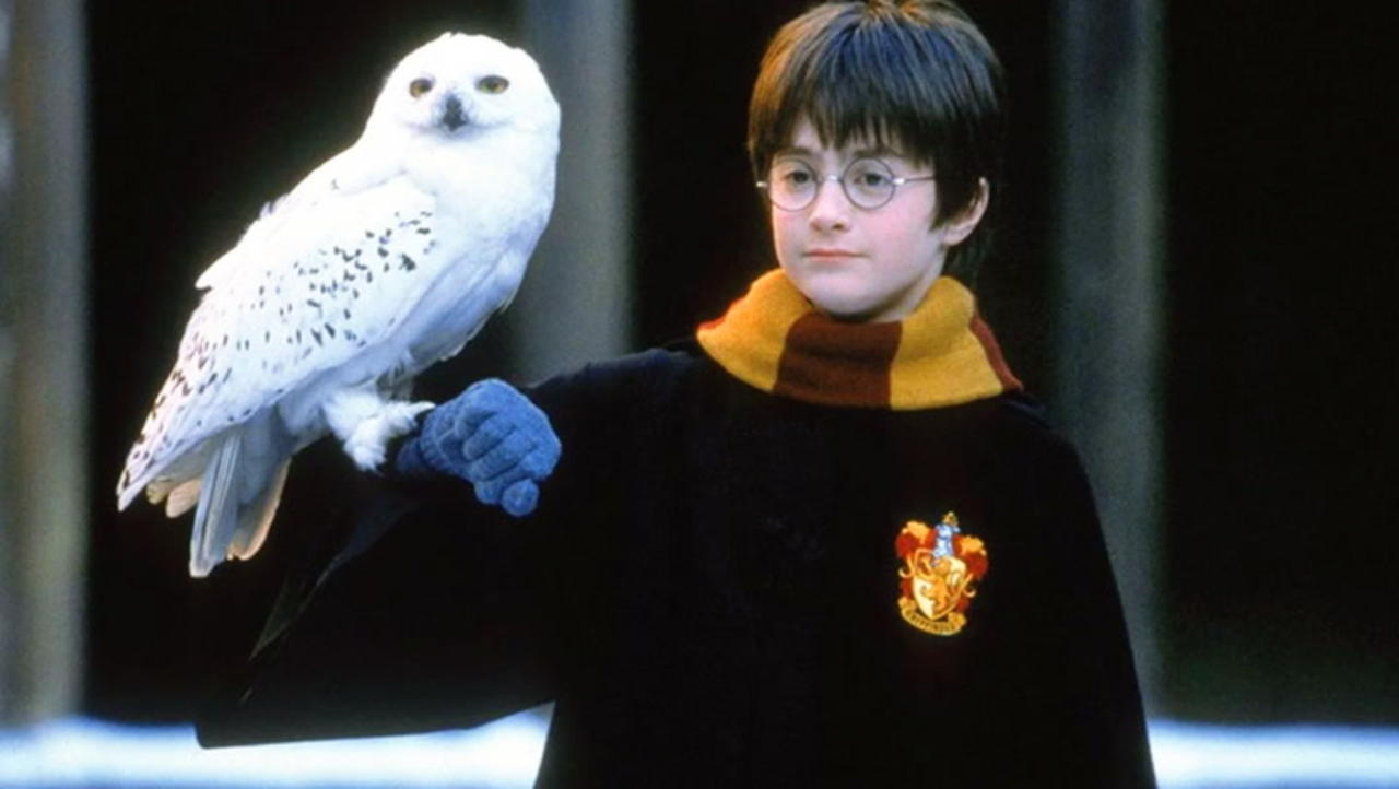‘Harry Potter’ TV Series Greenlit at Max | THR News