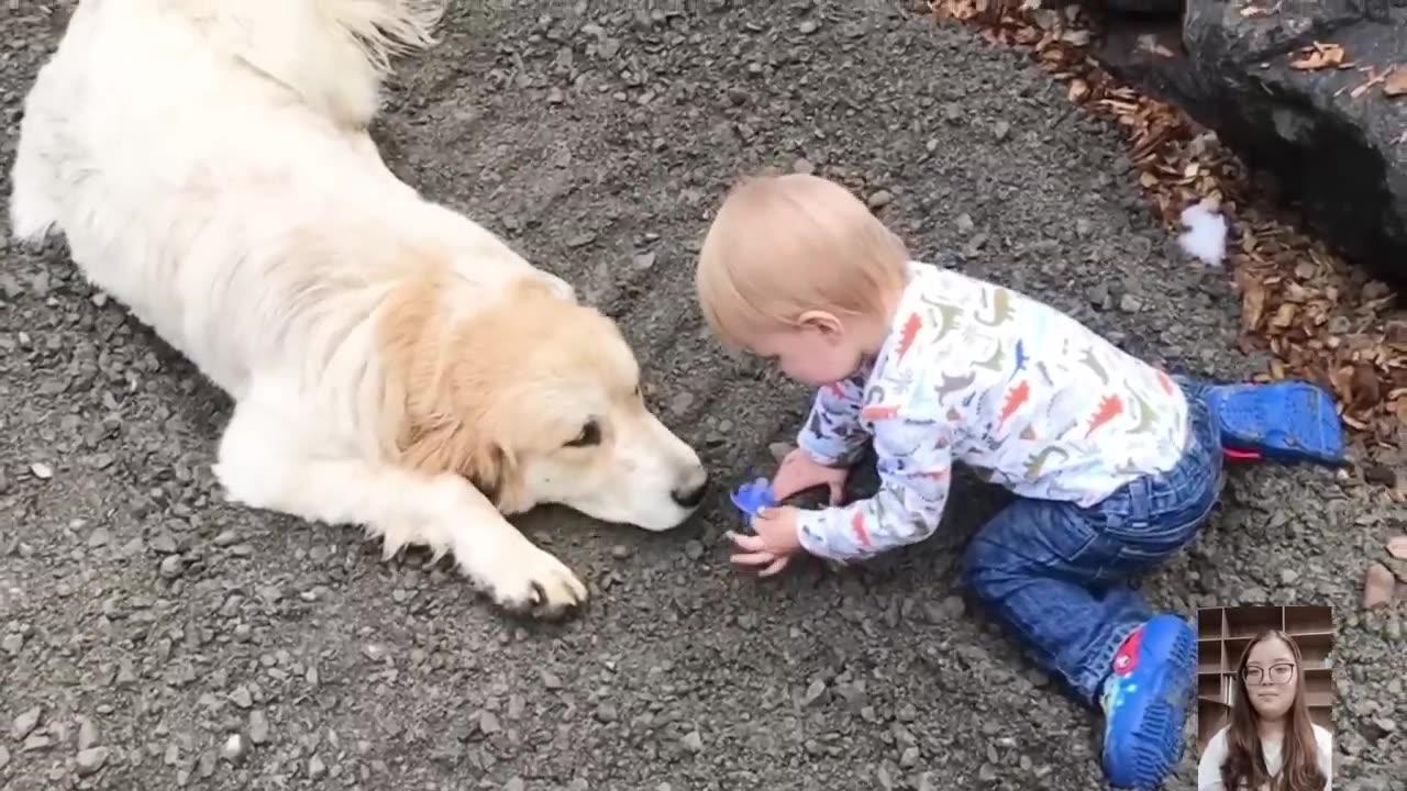 Adorable Babies Playing With Dogs😍