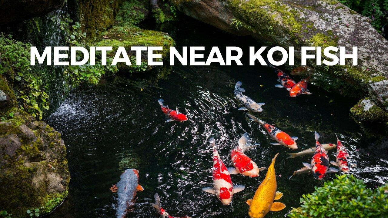MEDITATE near Koi Fish (5 minute meditation to One News Page VIDEO