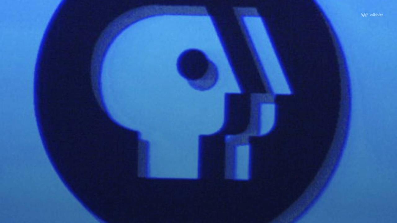 PBS Joins NPR in Leaving Twitter