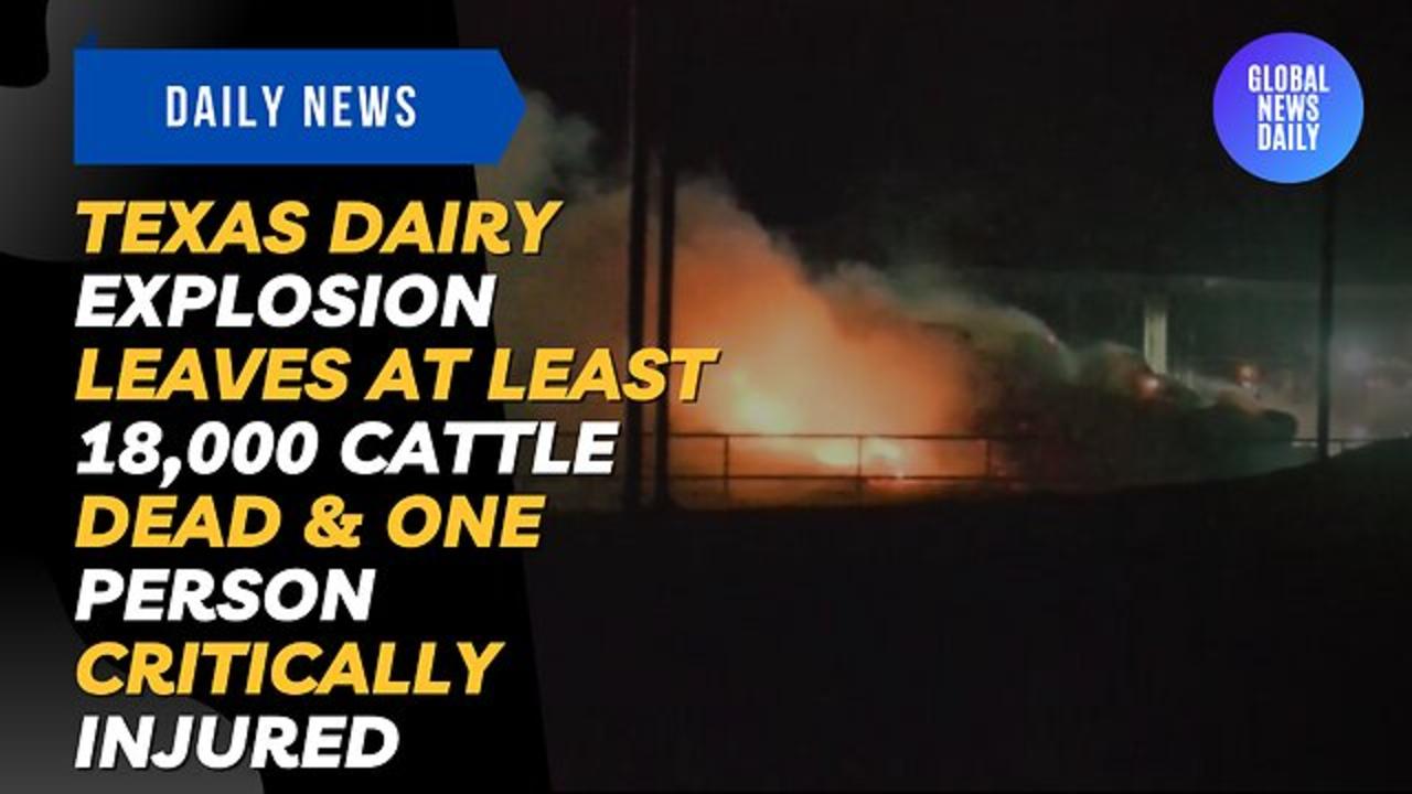 Texas Dairy Explosion Leaves At Least 18,000 One News Page VIDEO