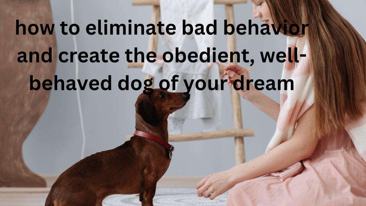 how to eliminate bad behavior and create the obedient, well-behaved dog of your dream.