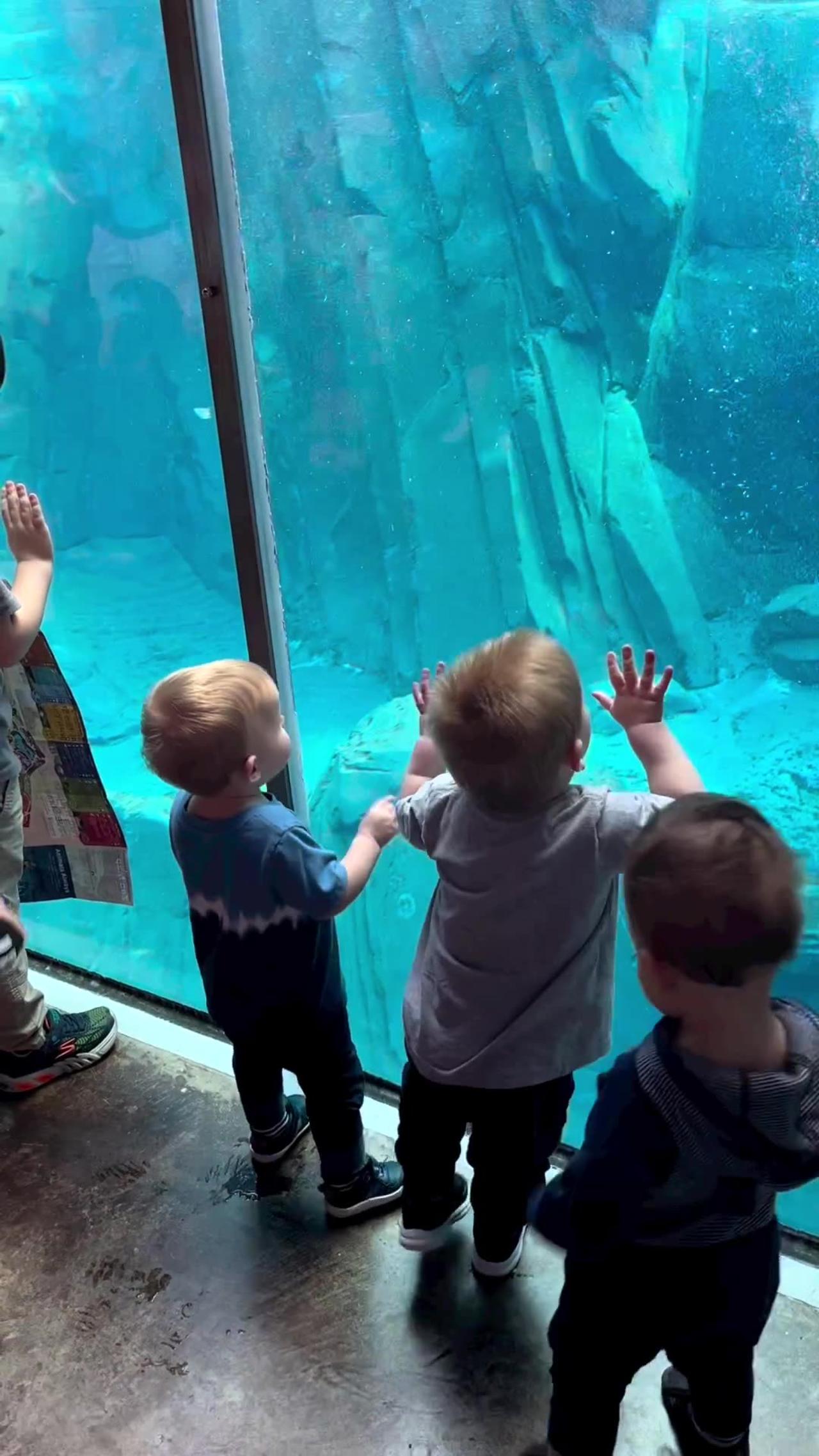 Zoo Water One News Page VIDEO