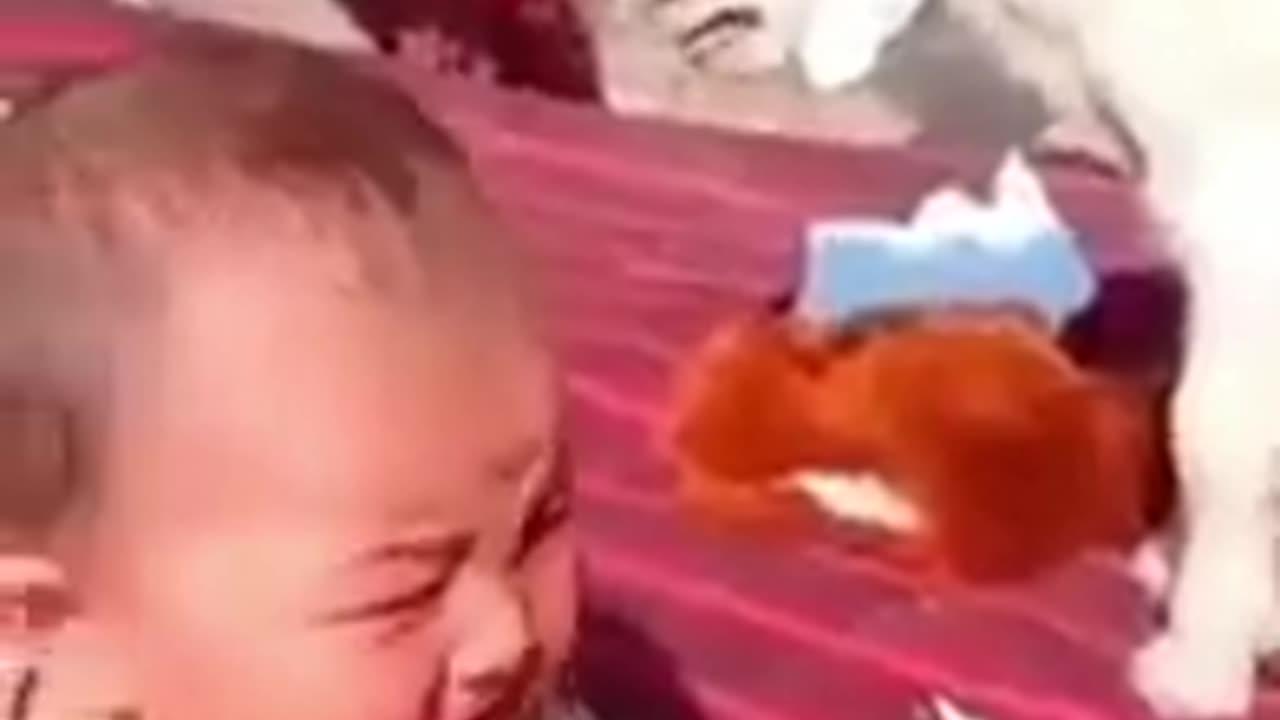 Funny baby short vedio One News Page VIDEO