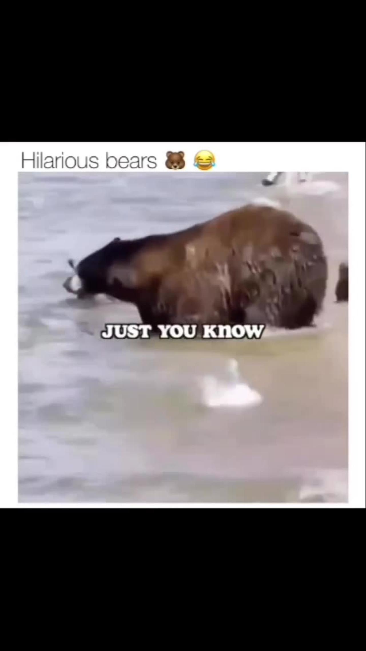 Funny animals doing f*$ing things
