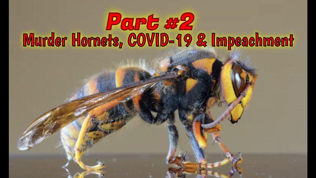 PART #2: 🐝 Murder Hornets, CoRNey, Impeachment & COVID-19 (9/2020)