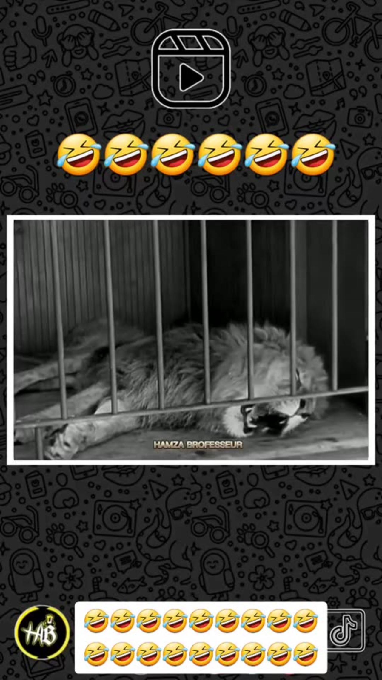 Funny clips One News Page VIDEO