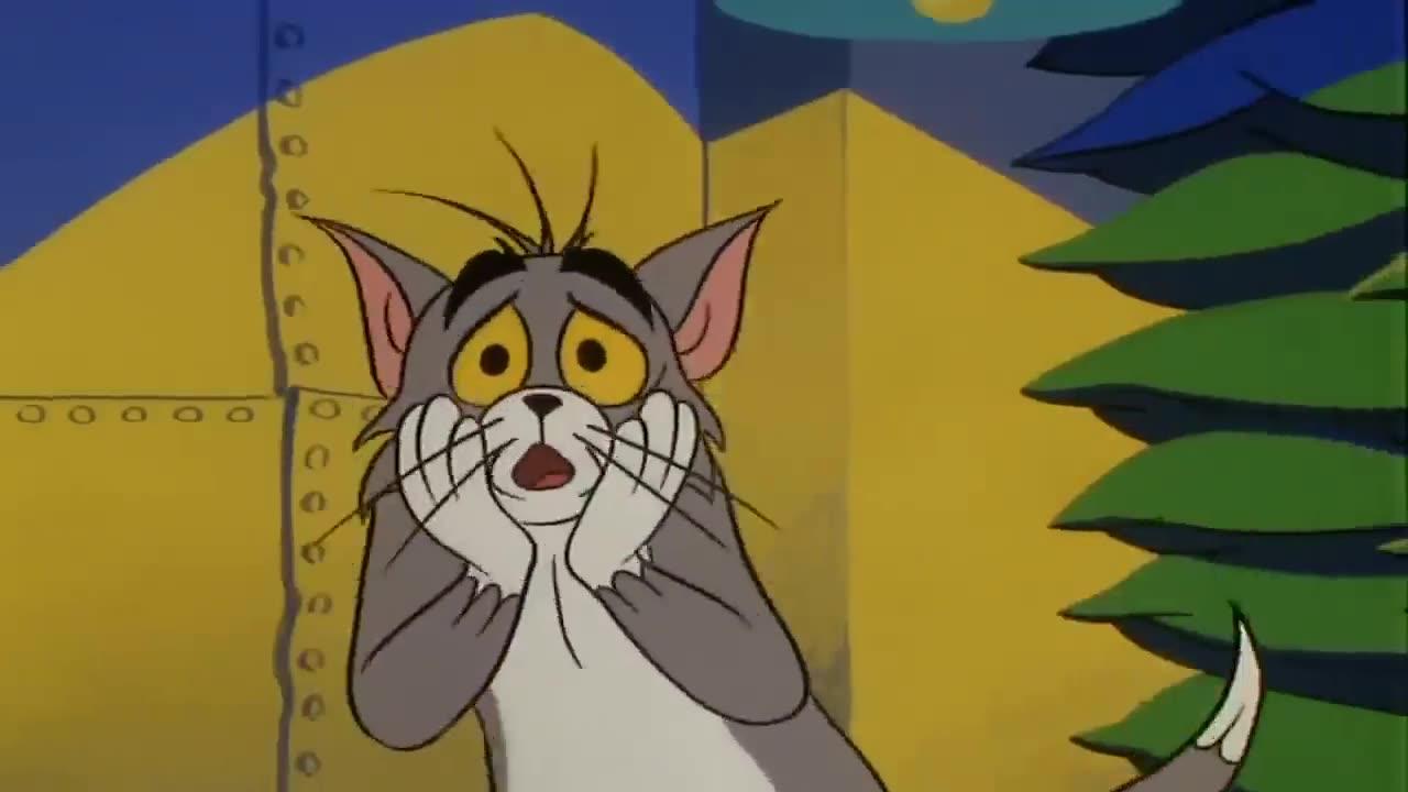 Tom and Jerry funny videos