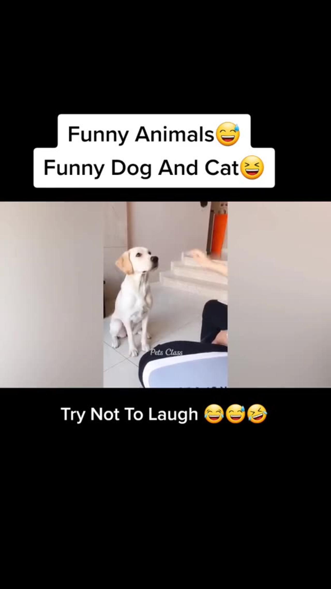 Most Watched Funny Video In The World 😅😂😁 🤣