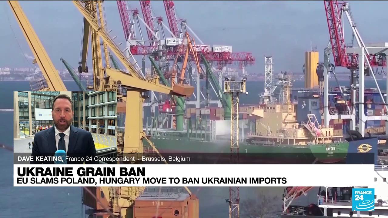 EU slams Poland, Hungary move to ban Ukrainian grain imports