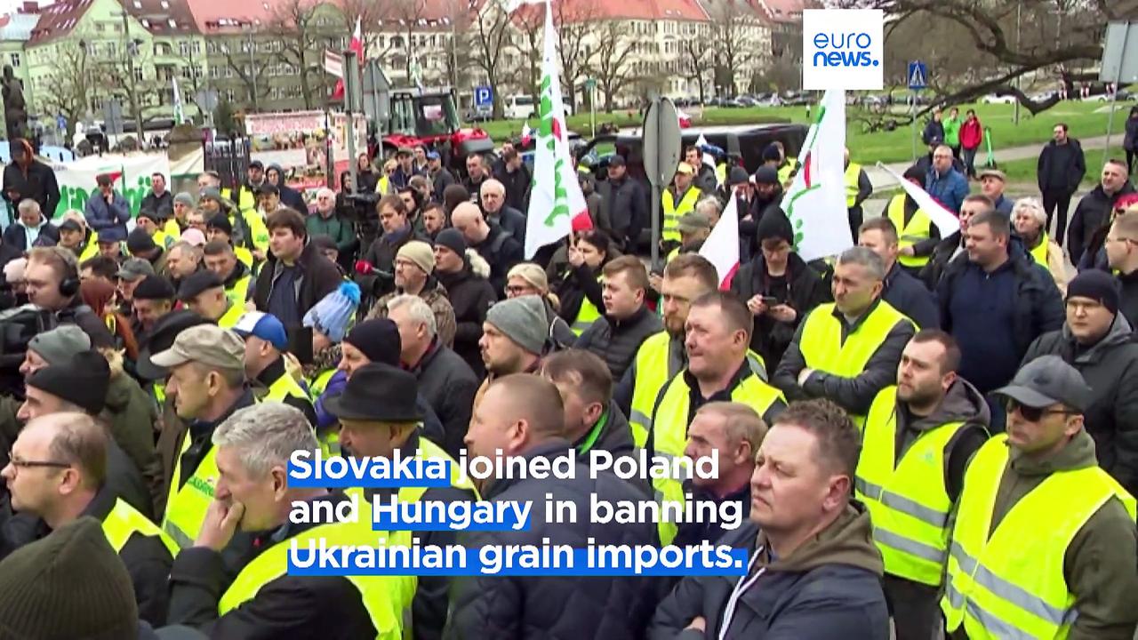 'Not acceptable': EU decries bans on tariff-free Ukrainian grain imposed by neighbouring countries