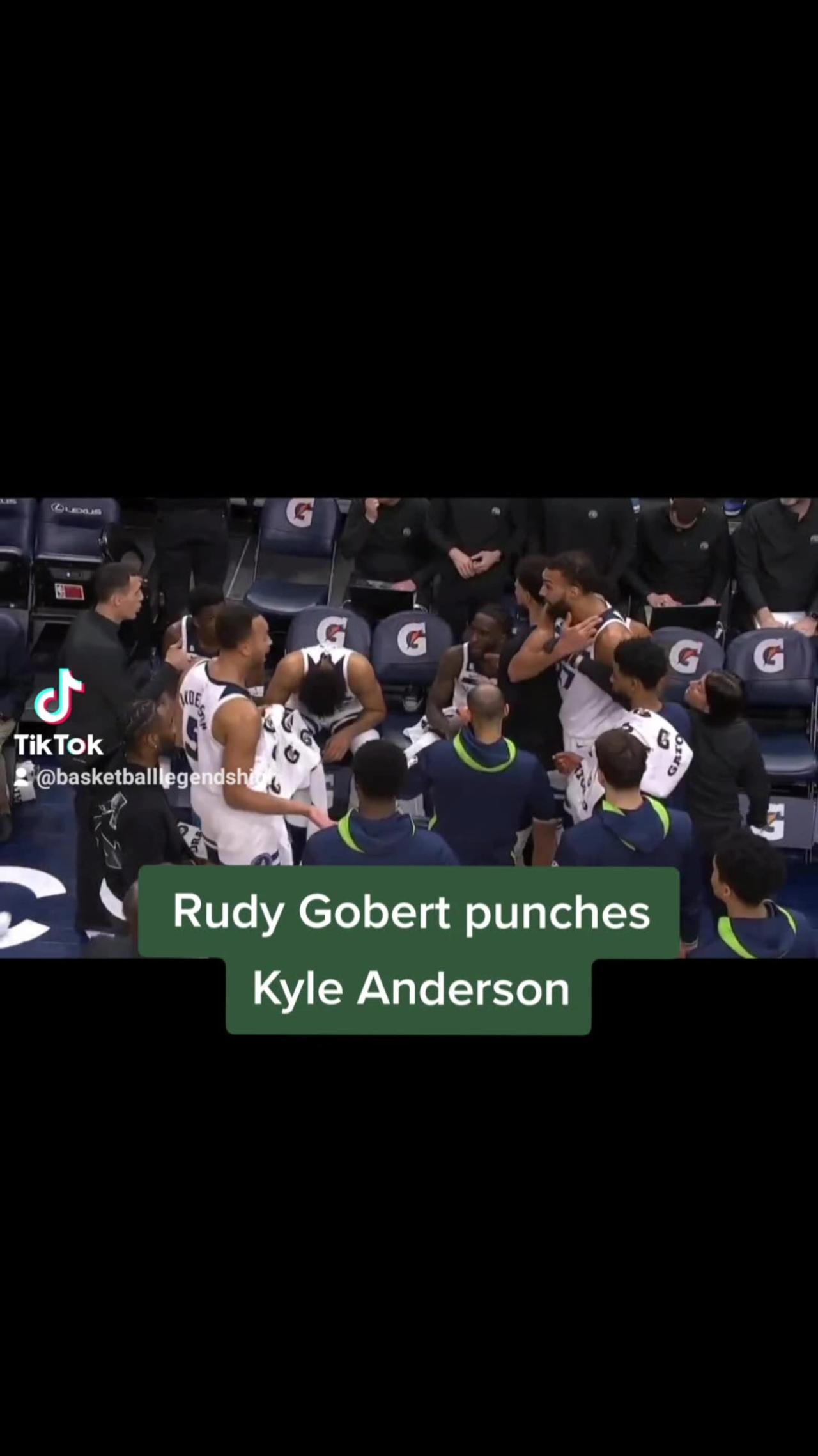 Rudy Gobert punches Kyle Anderson  #nba #basketball #rudygobert #kyleanderson #minnesotatimberwolves