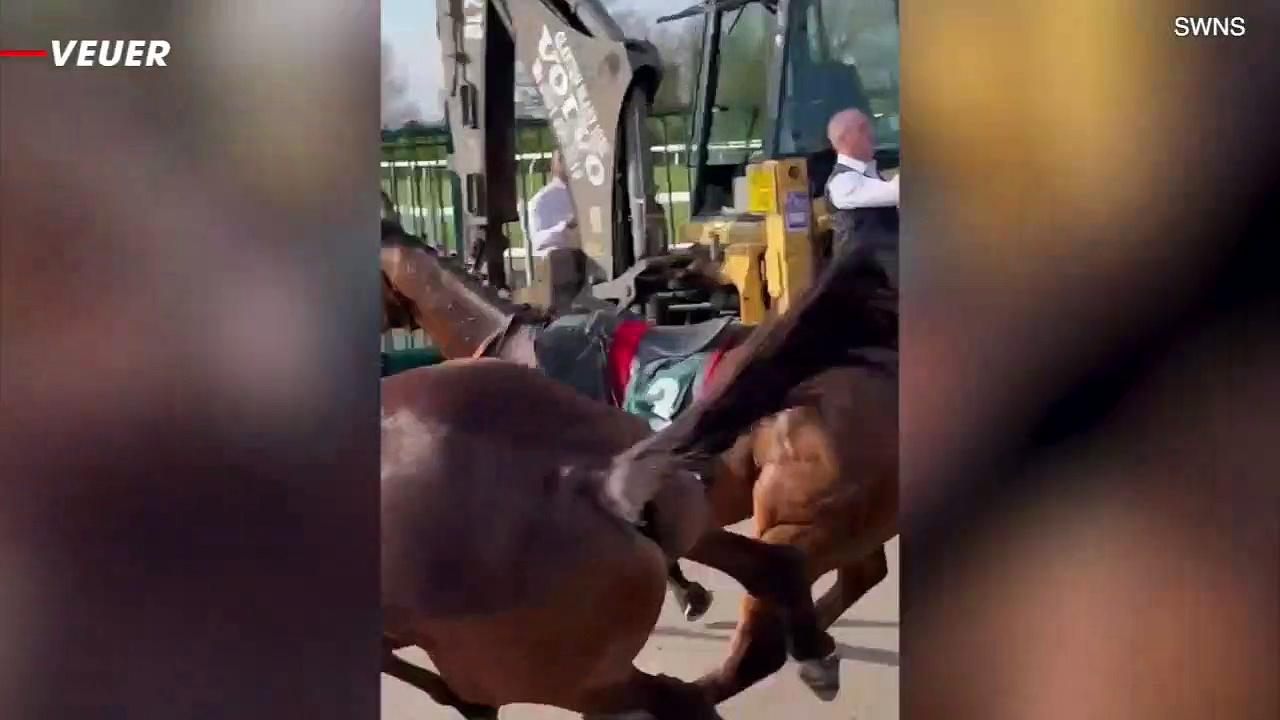 Racegoer Injured After Grand National Horse Crash