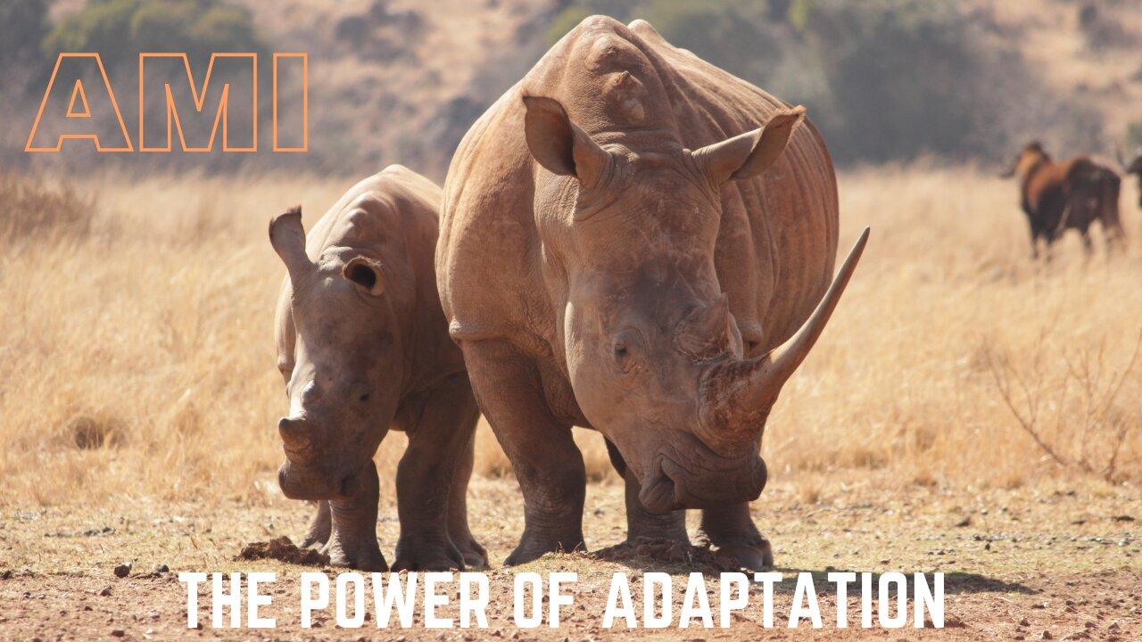 The Power of Adaptation - How the Wild Animals Succeed in the Fight for Endurance and Nourishment