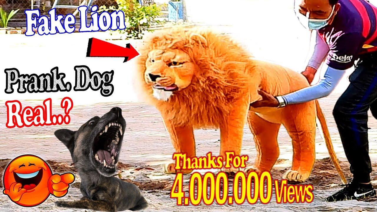 Troll Prank Dog Funny & fake Lion and Fake One News Page VIDEO
