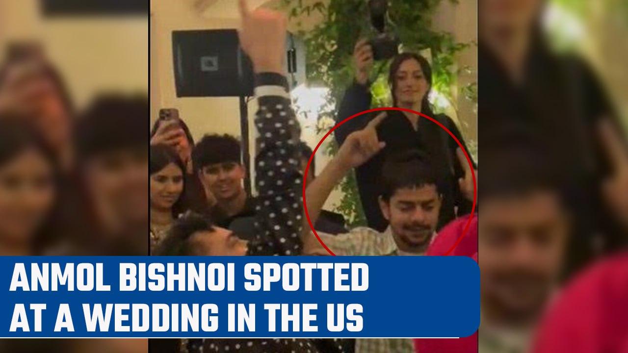 Anmol Bishnoi, brother of Lawrence Bishnoi spotted in a wedding in the US | Oneindia News
