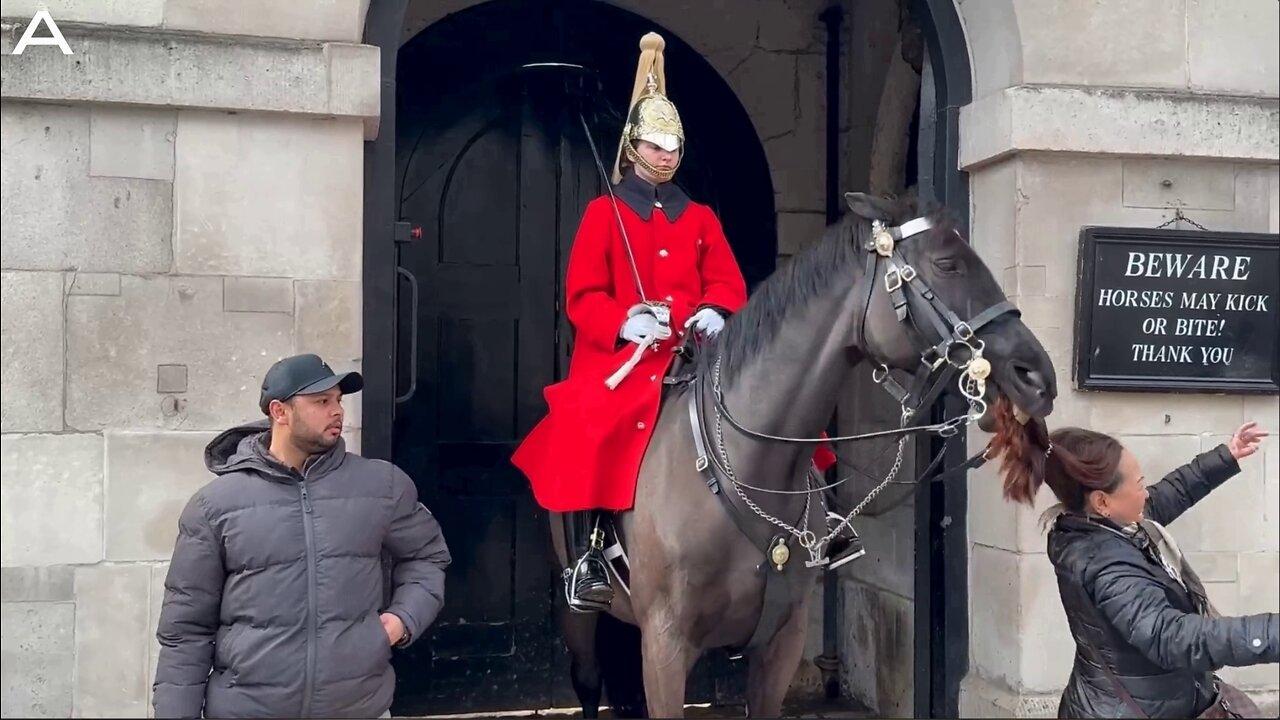 Unsuspecting Tourists Attacked By King’s Guard Horse As It Bites Their Hair