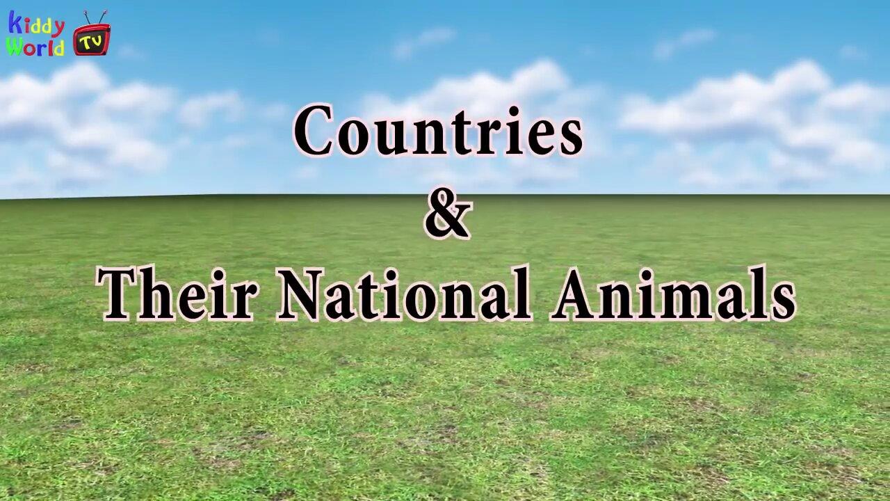National Animals Of Countries Flags And One News Page Video National Animals Of Countries Flags And One News Page Video