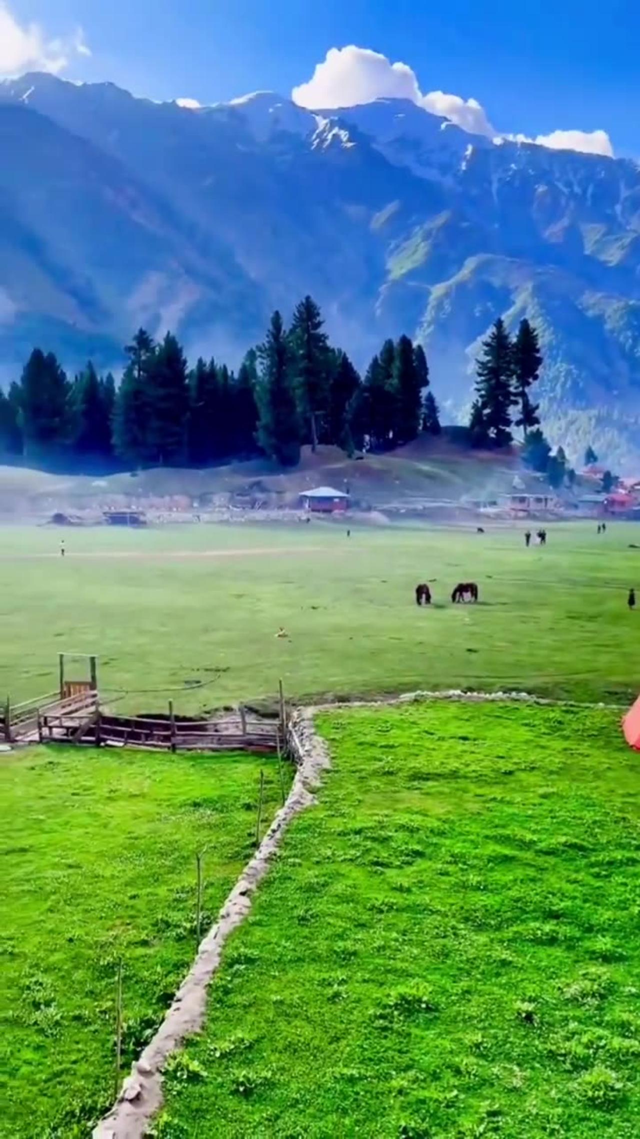A beautiful valley of Pakistan (Fairy Meadows)...❤️💯