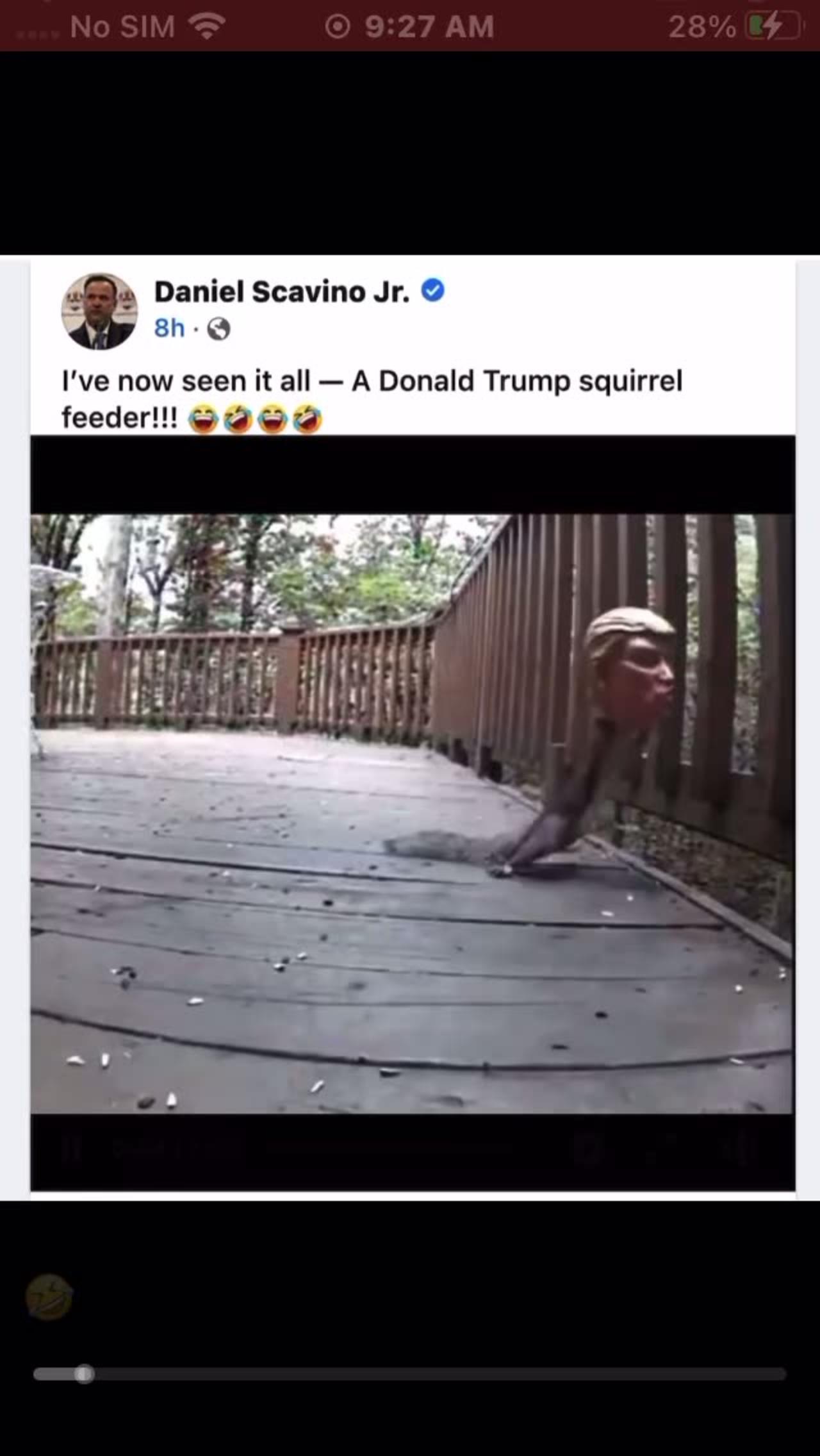 Trump Squirrel