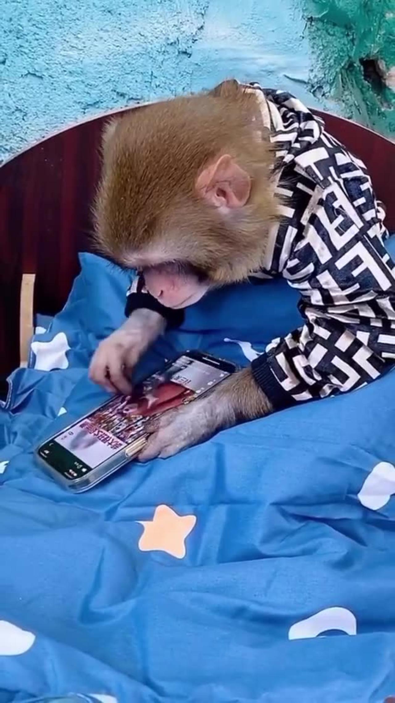Funny monkey reading😂😂