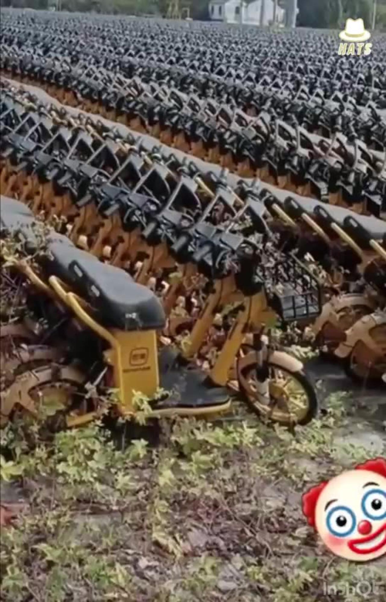 A graveyard of electric green scooters that have One News Page VIDEO