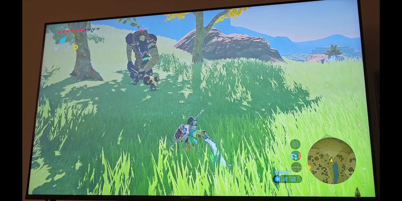 Spot of Nerd plays Breath of the Wild Pt. 5