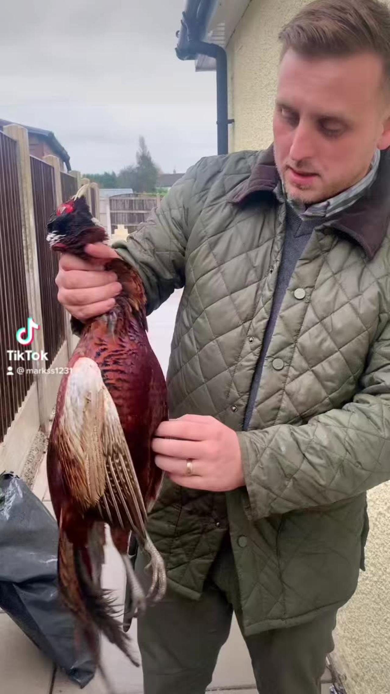 Field dressing a pheasant the easy way to breast One News Page VIDEO