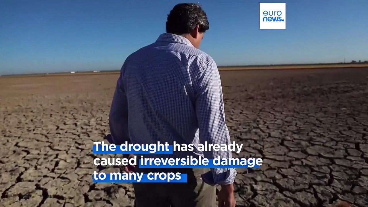 Spain pleads for aid from EU after historic drought devastates its farmers