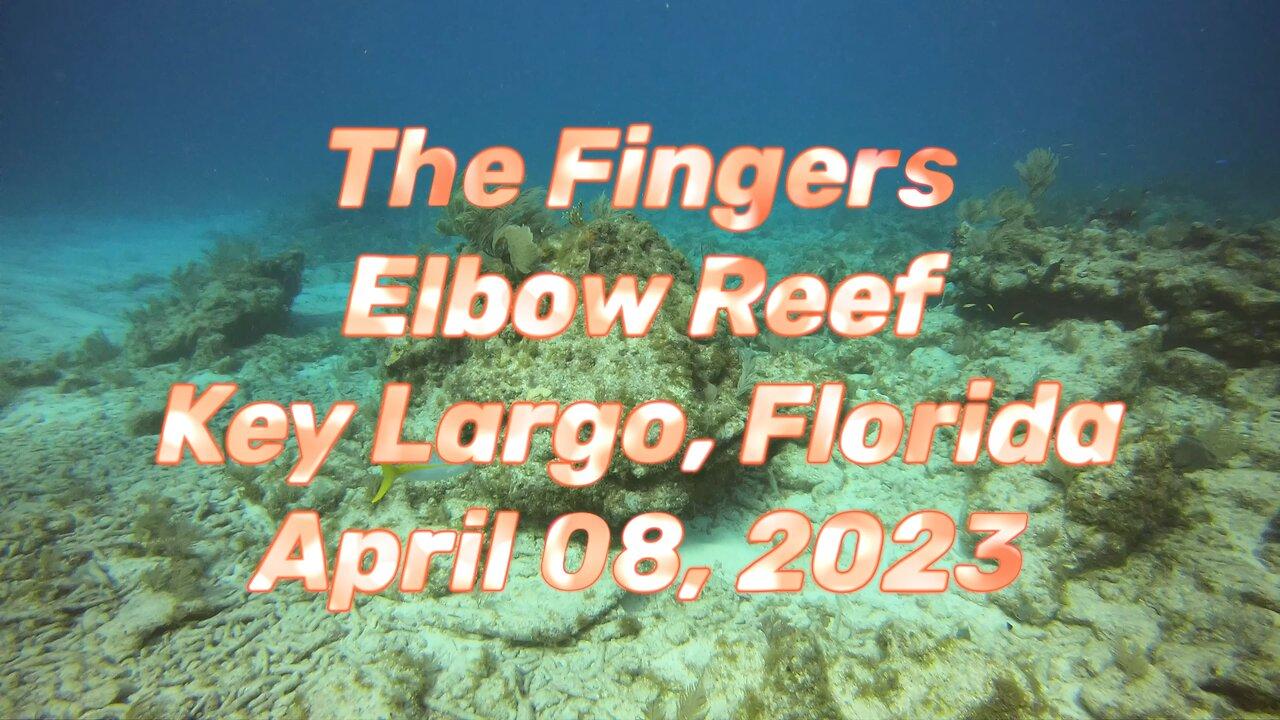 SCUBA Diving The Fingers, Elbow Reef, Key largo, Florida, U.S.A.