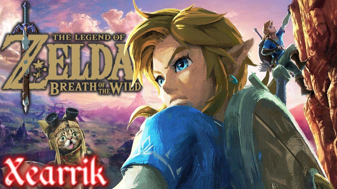 Zelda Breath Of The Wild Prepping For Zelda Tears Of The Kingdom!!!