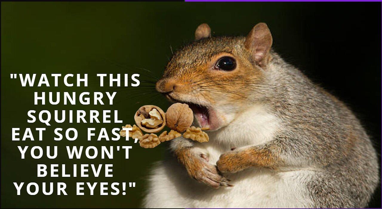 "Watch This Hungry Squirrel Eat So Fast, You Won't Believe Your Eyes!"