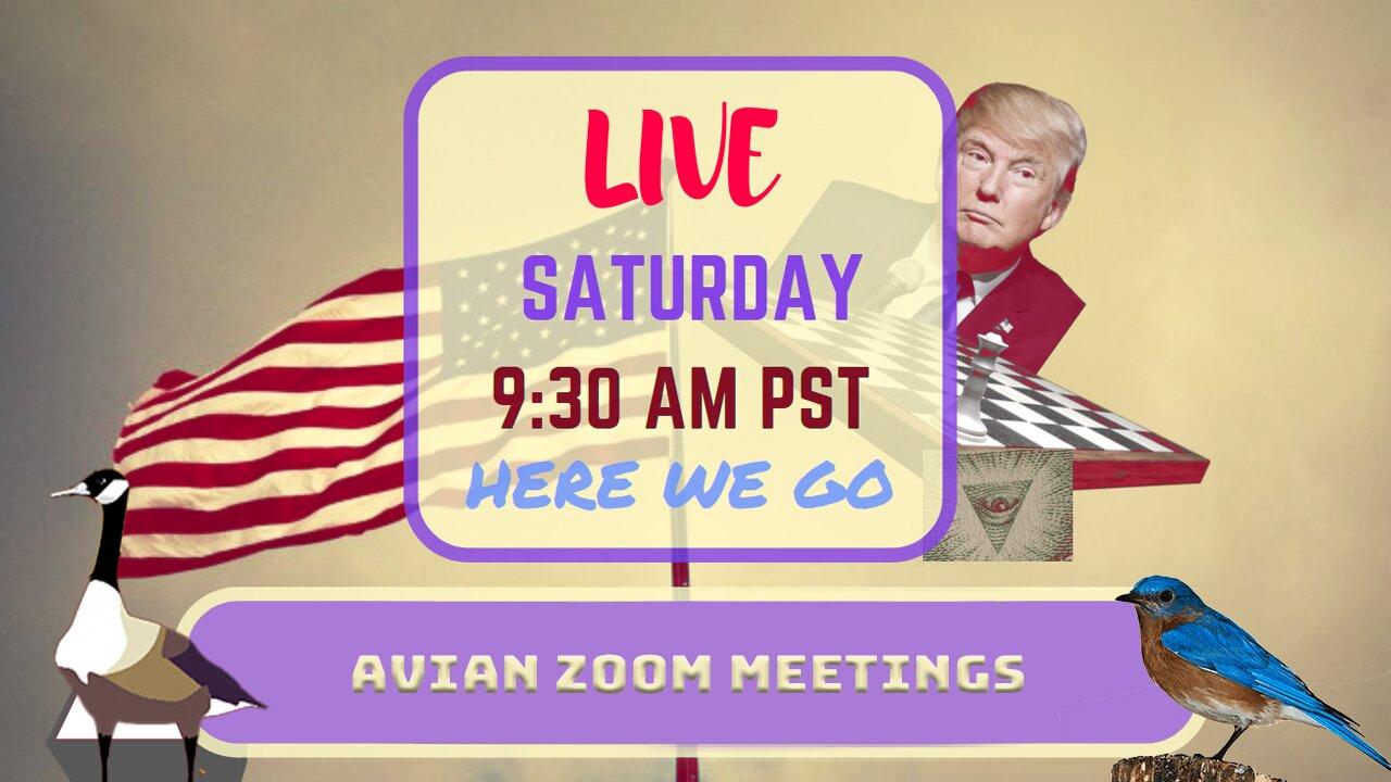 Saturday *LIVE* Avian Zoom Meetings Edition