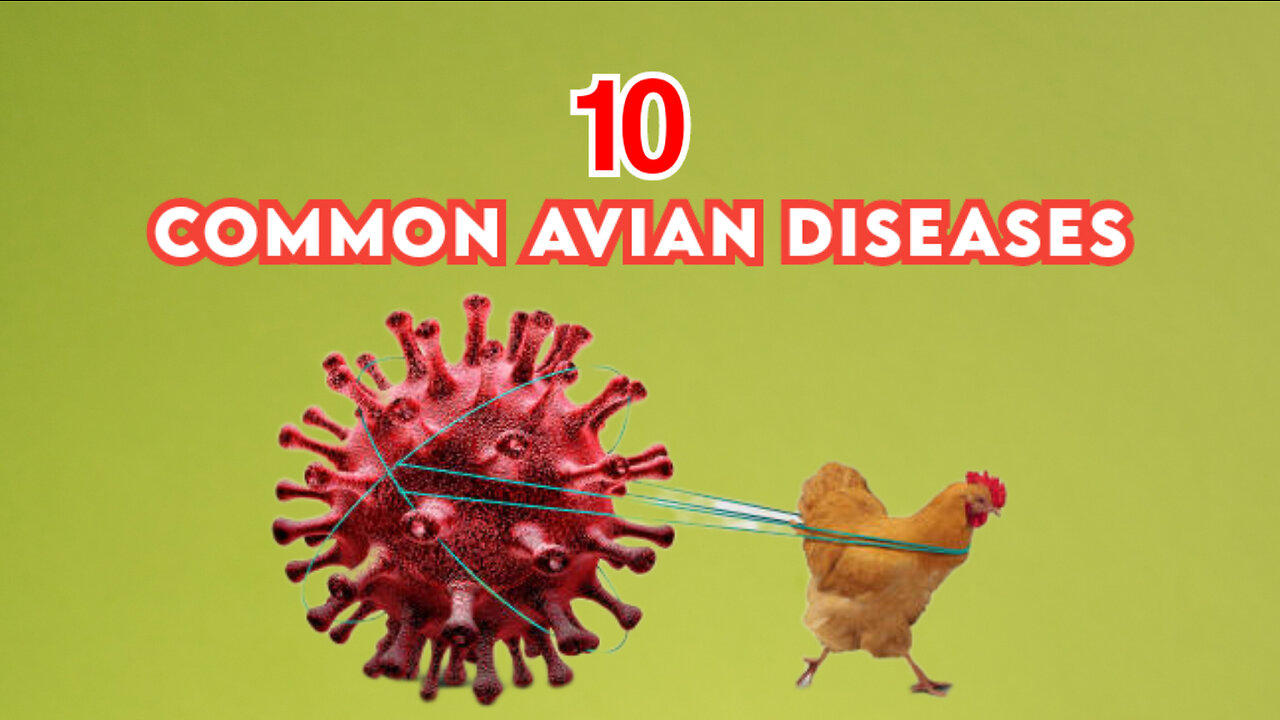 10 common  avian diseases