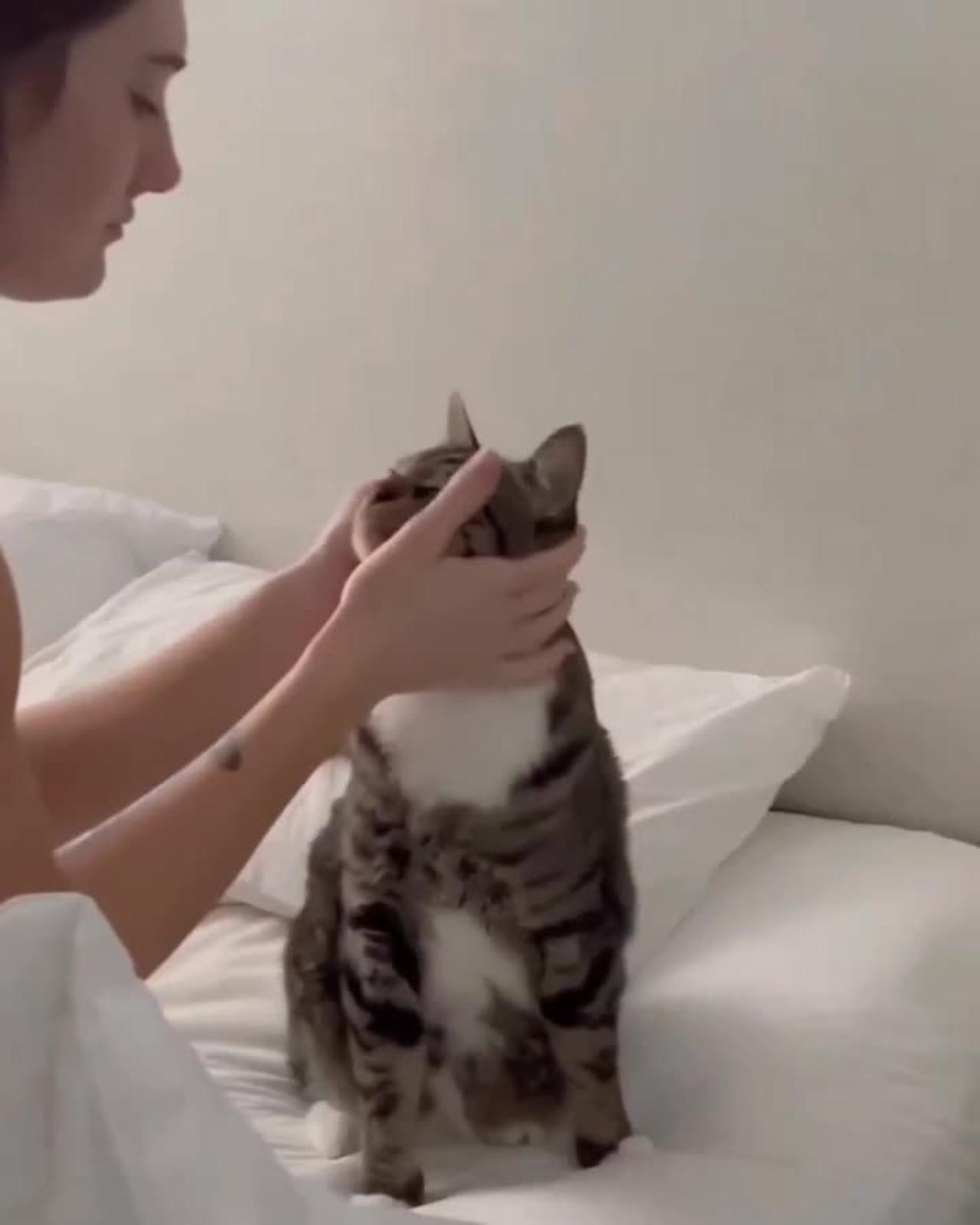 Emotional human with they pets