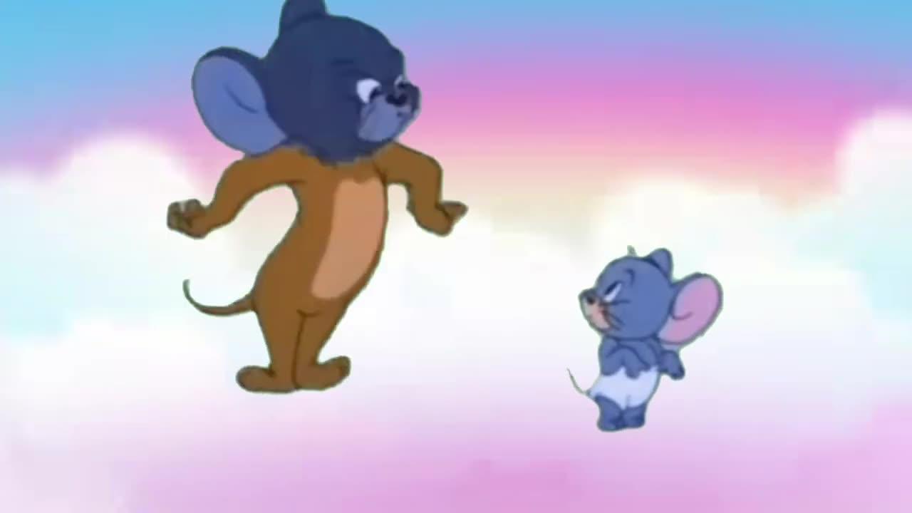 The Epic Battle between Tom and Jerry...You Won't Believe What Happens Next! @wbkids