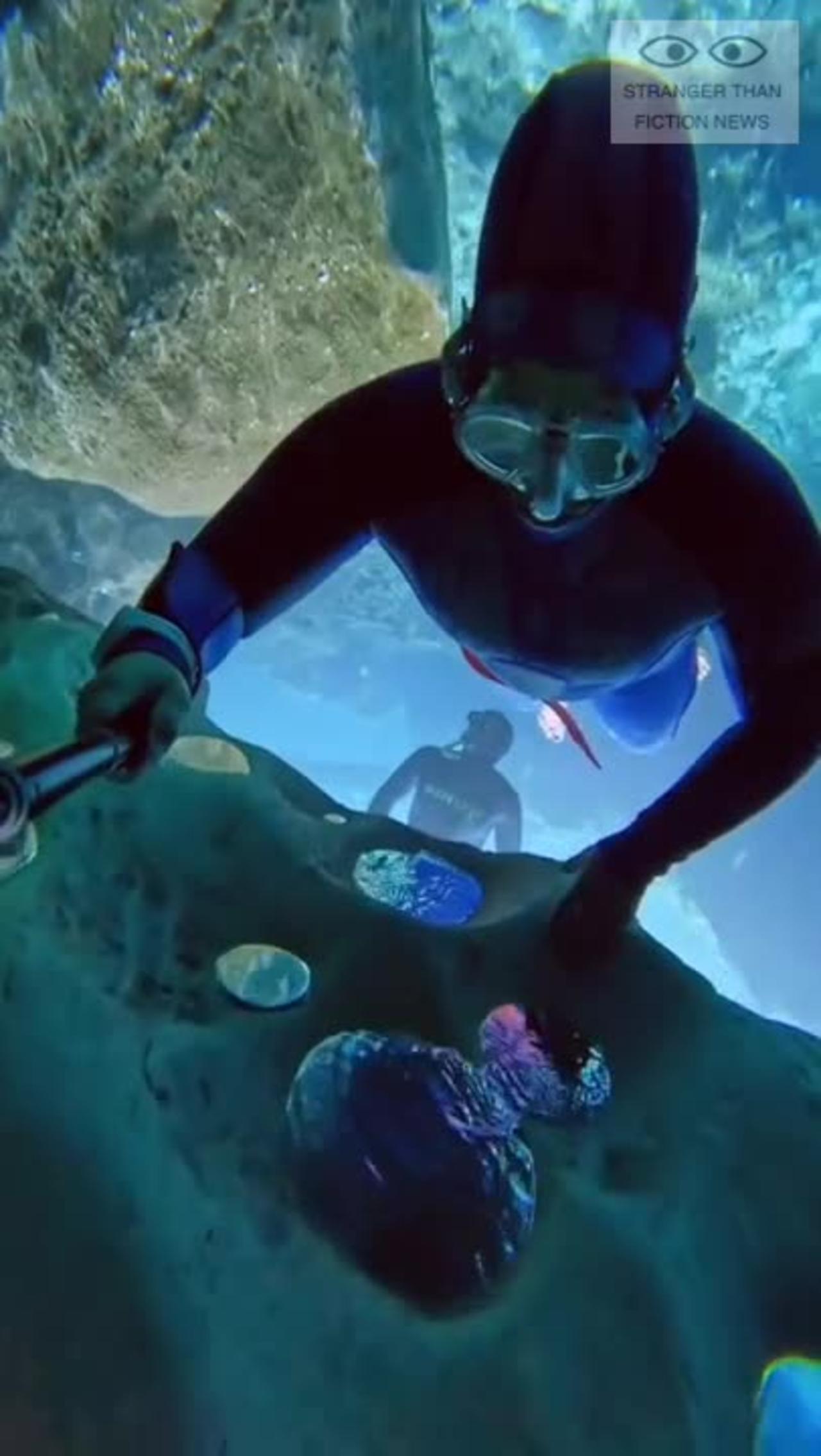 Diving in submarine caves without oxygen.. One News Page VIDEO