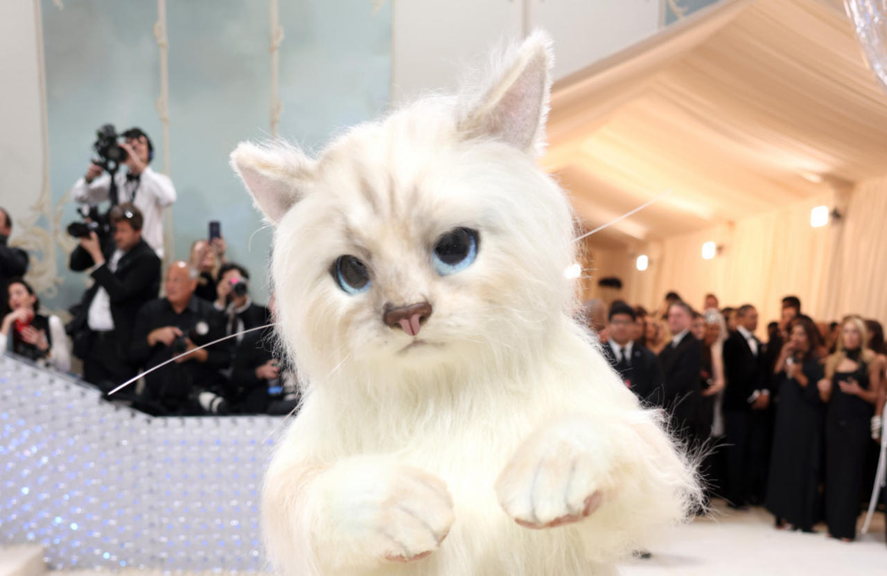 2023 Met Gala: Jared Leto dresses up as Karl Lagerfeld's cat Choupette