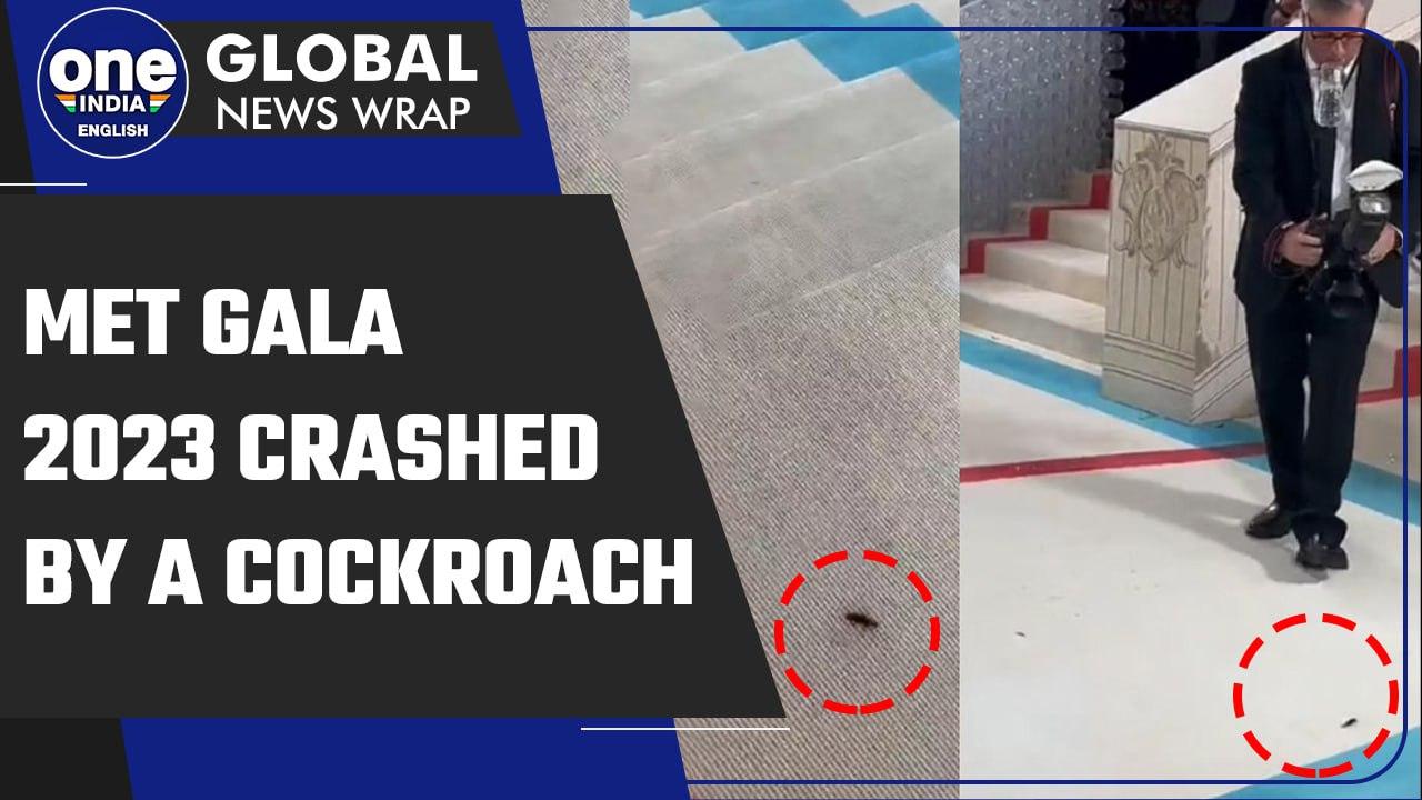 Met Gala 2023: Cockroach crashes the big event, netizens call it best dressed | Oneindia News