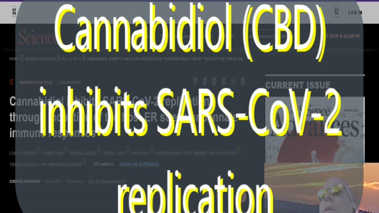 #157 Cannabidiol inhibits SARS-CoV-2 replication & more