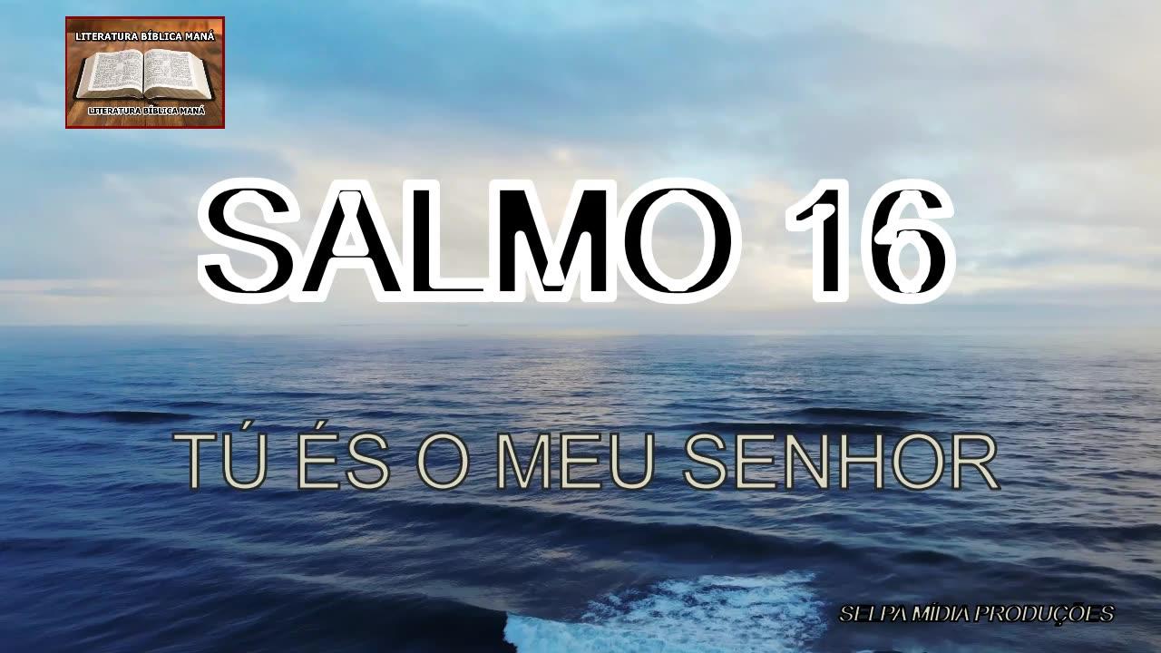 salmos 17 estudo