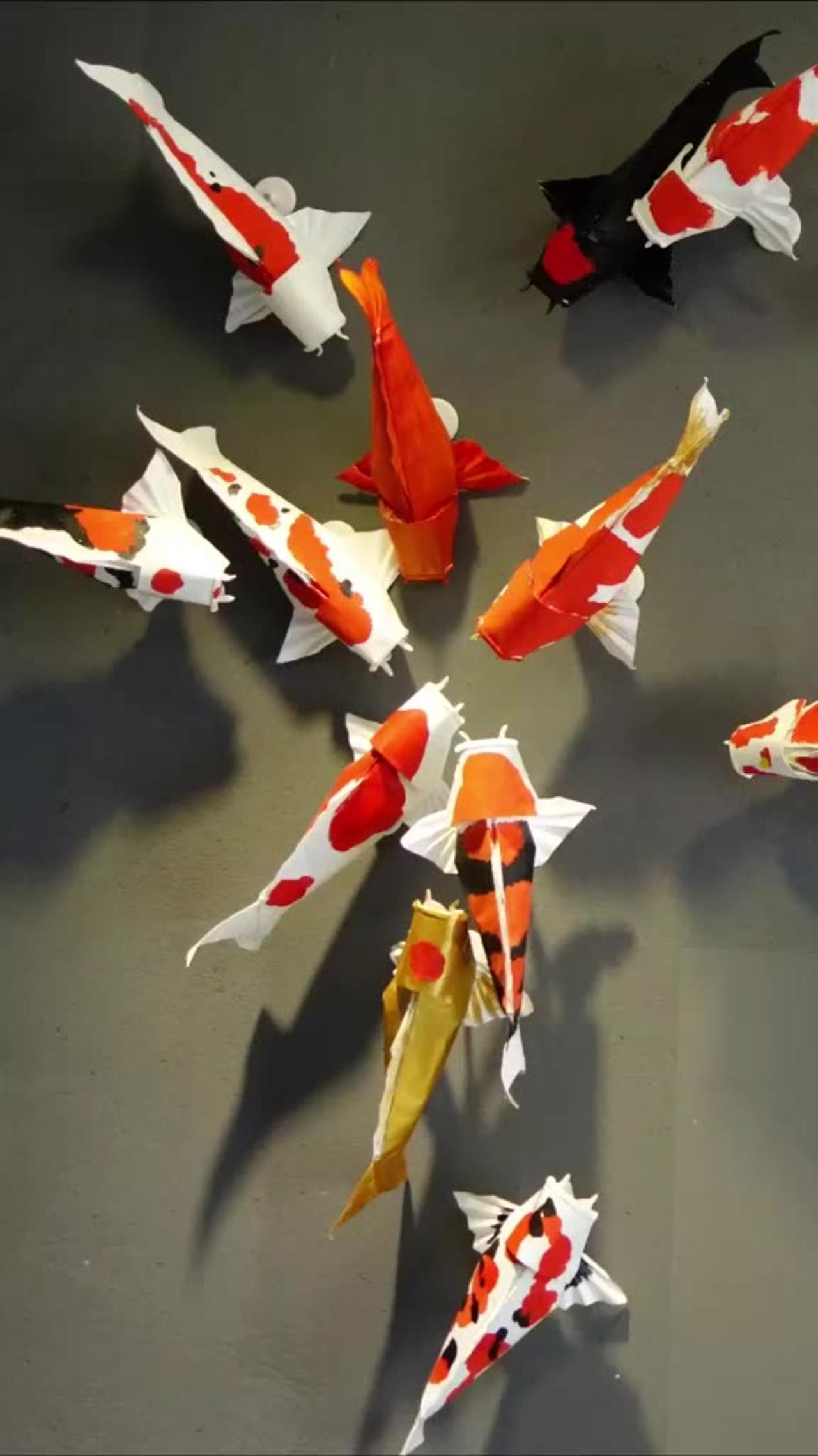 How to make an origami koi fish - - One News Page VIDEO