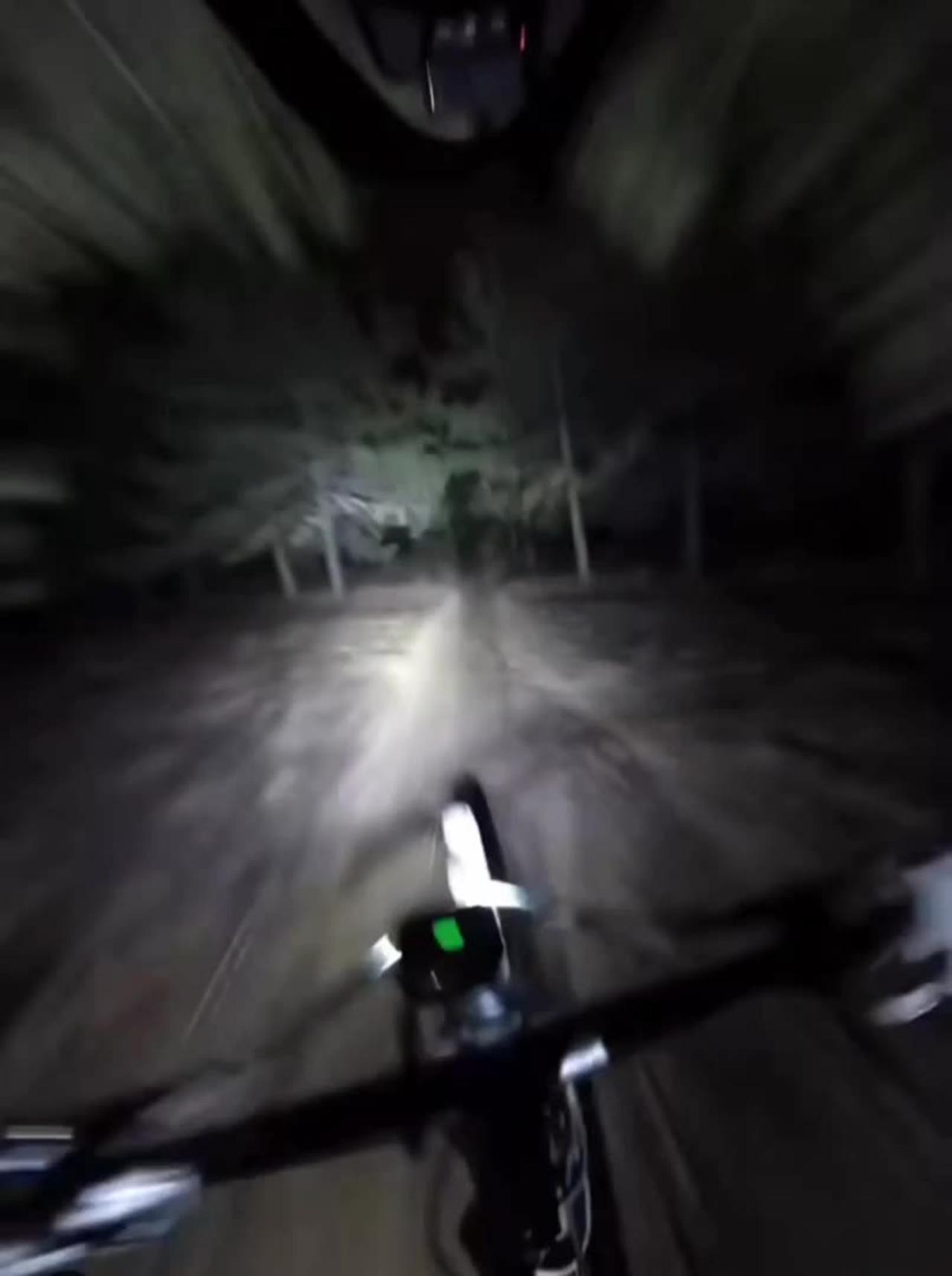 Bike ride through the forest at night - One News Page VIDEO