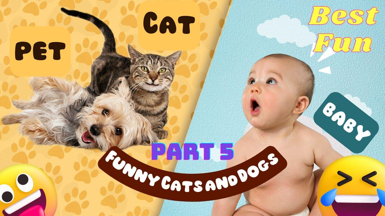 Funniest Animals 😂 Funny Cats and Dogs 2023 😺🐶 Part 5