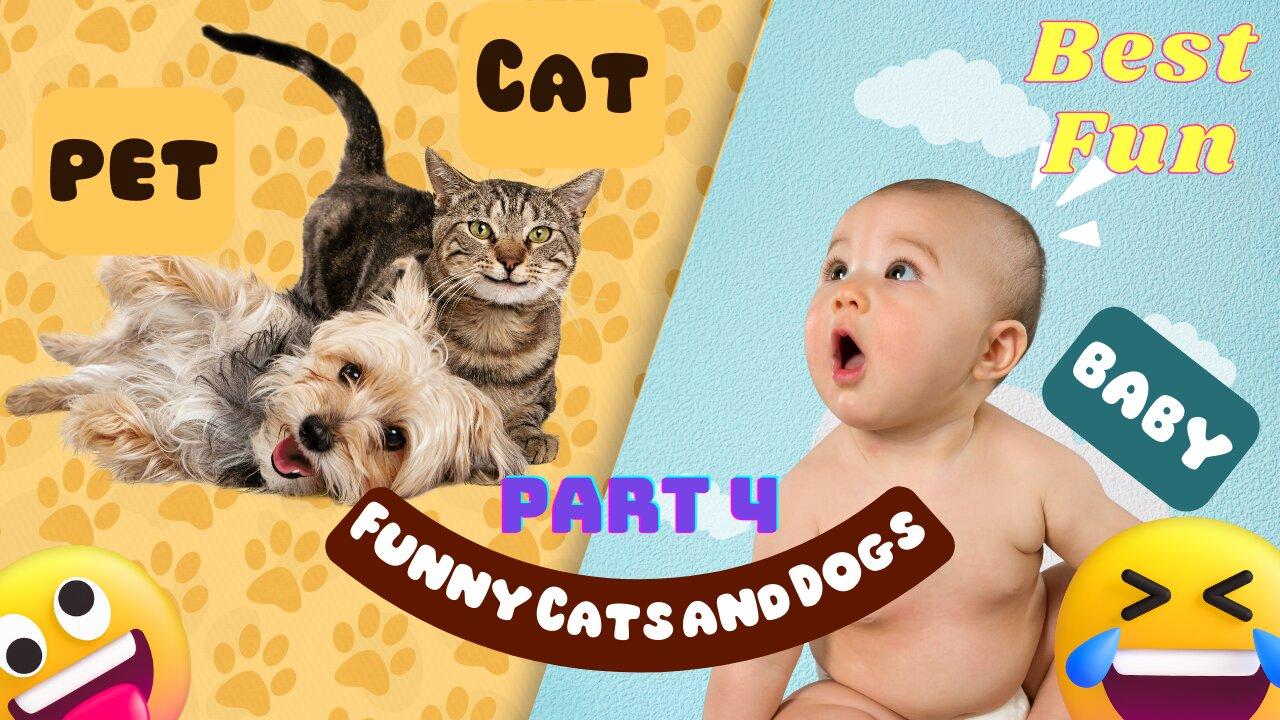 Funniest Animals 😂 Funny Cats and Dogs 2023 😺🐶 Part 4
